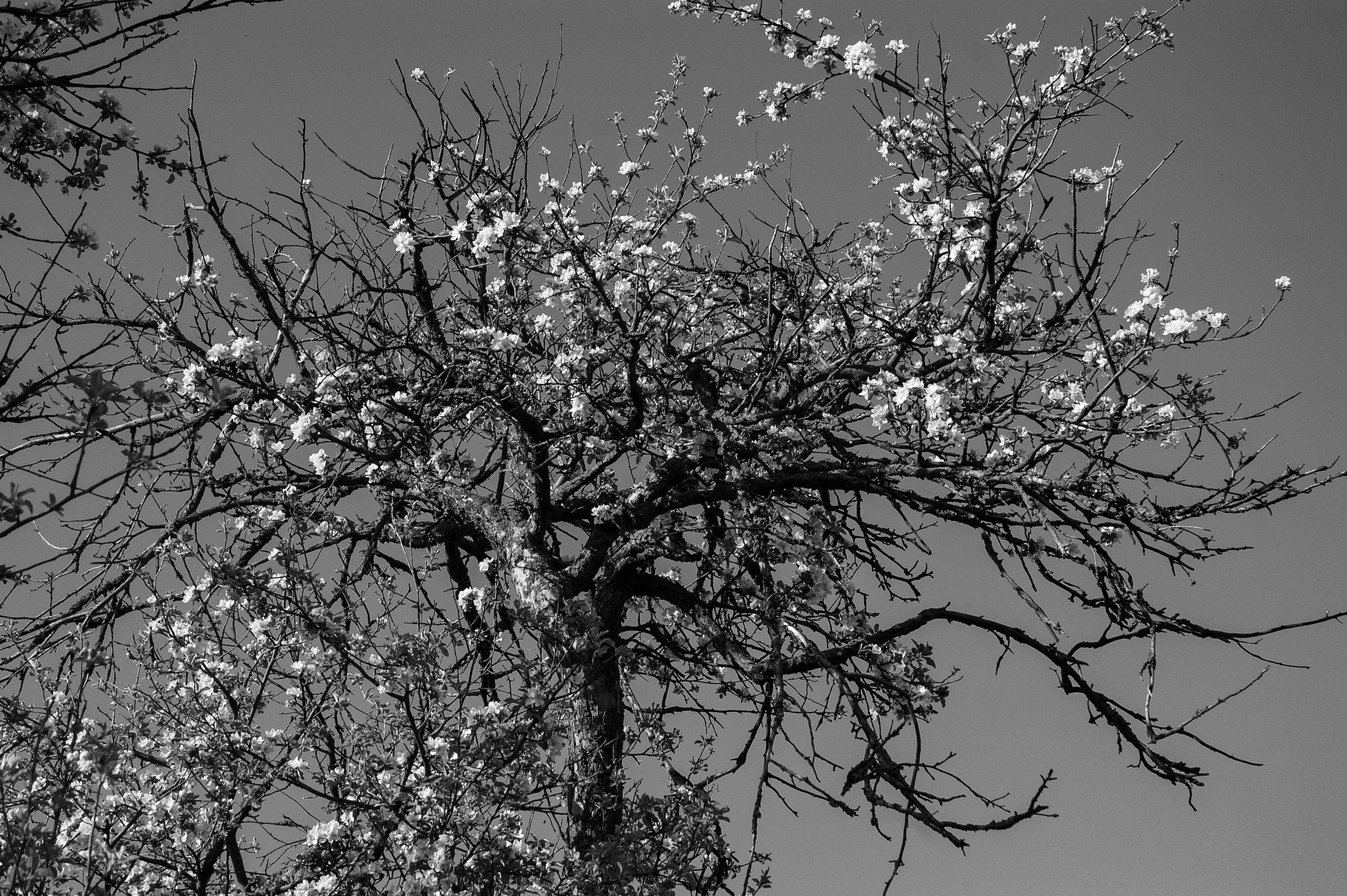 Foto-tvorba 9