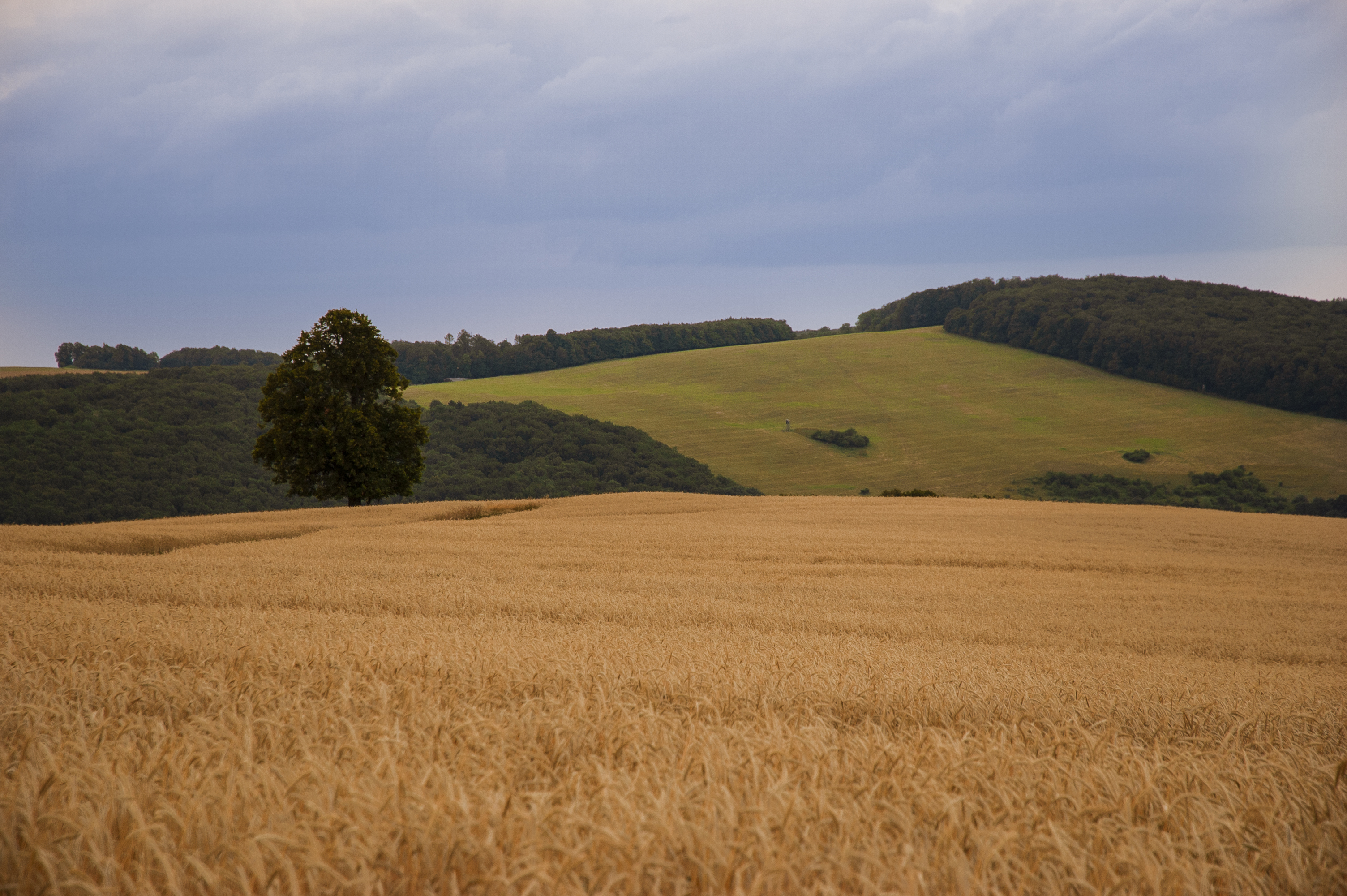 Foto-tvorba 5