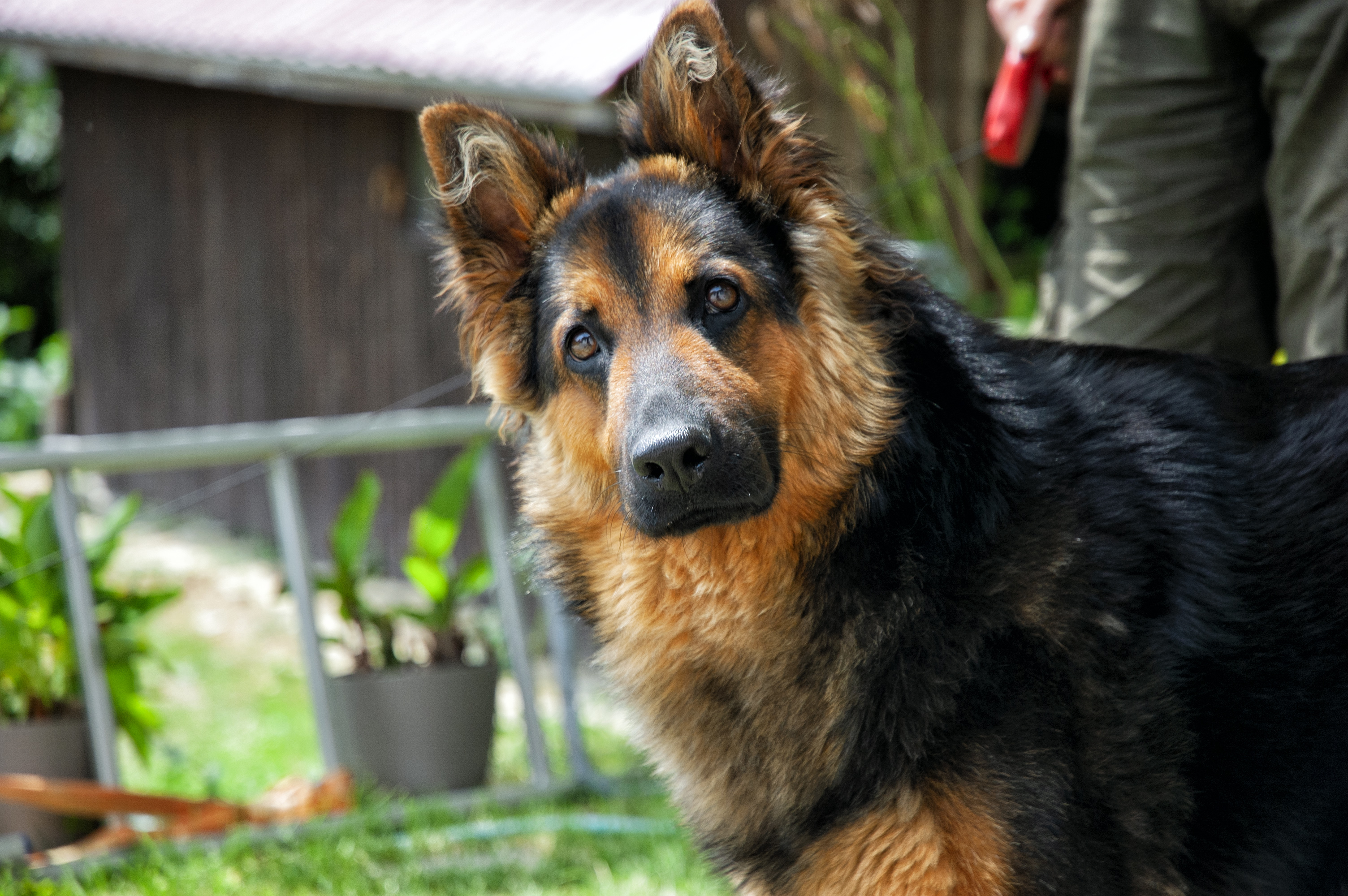 Foto-tvorba 8